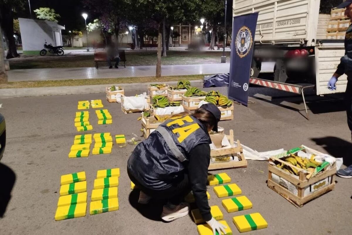 Hallaron cocaína en un supuesto cargamento de bananas: está valuado en $ 360 millones. (Gentileza)