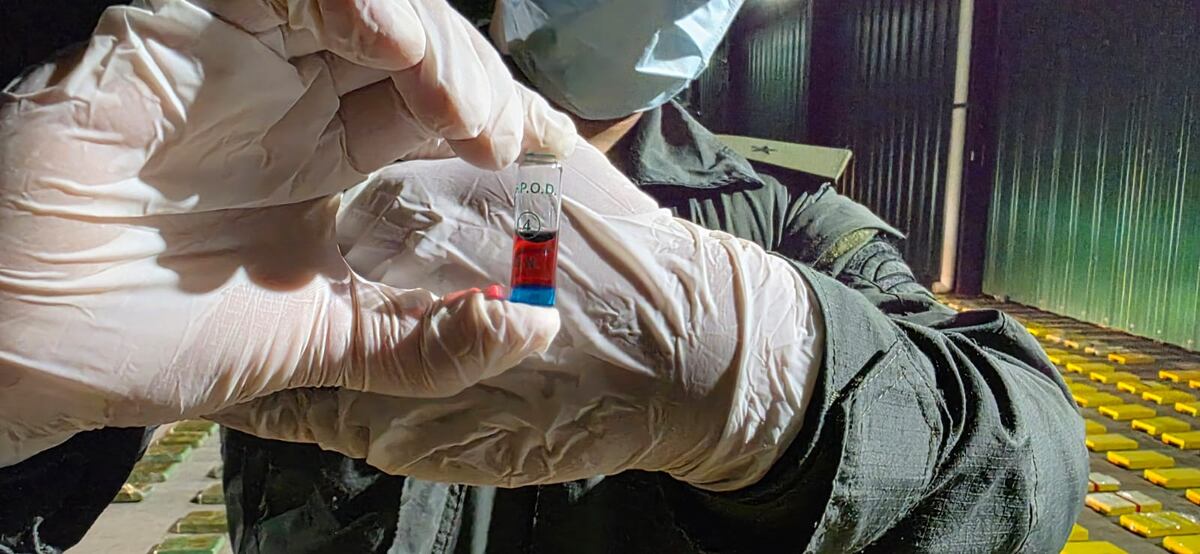 Gendarmería decomisó 431 kilos de cocaína tras un enfrentamiento armado en Salta.