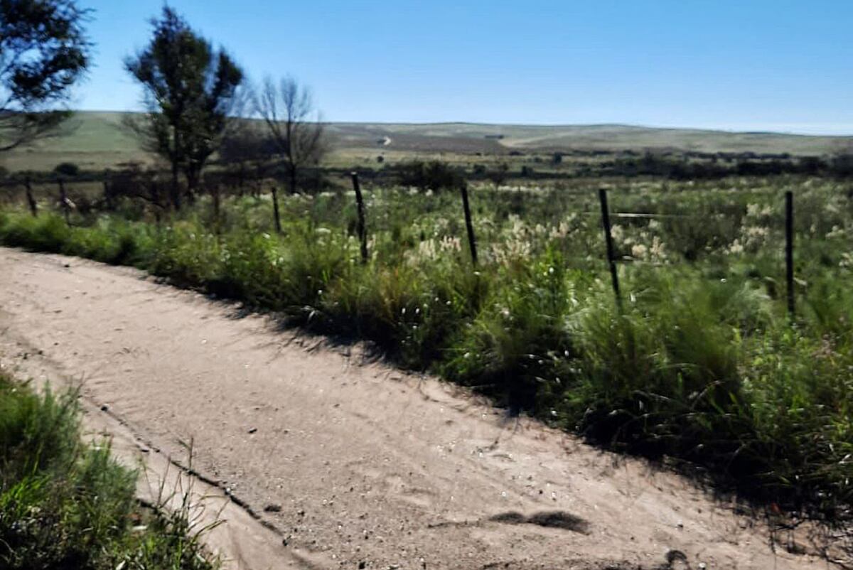 Lotes en Valle de Punilla. / Narvaezbid