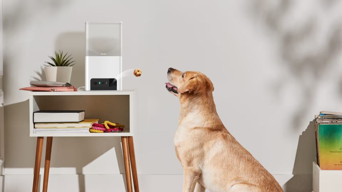Cámaras de monitoreo 4K con interacción remota para mascotas.