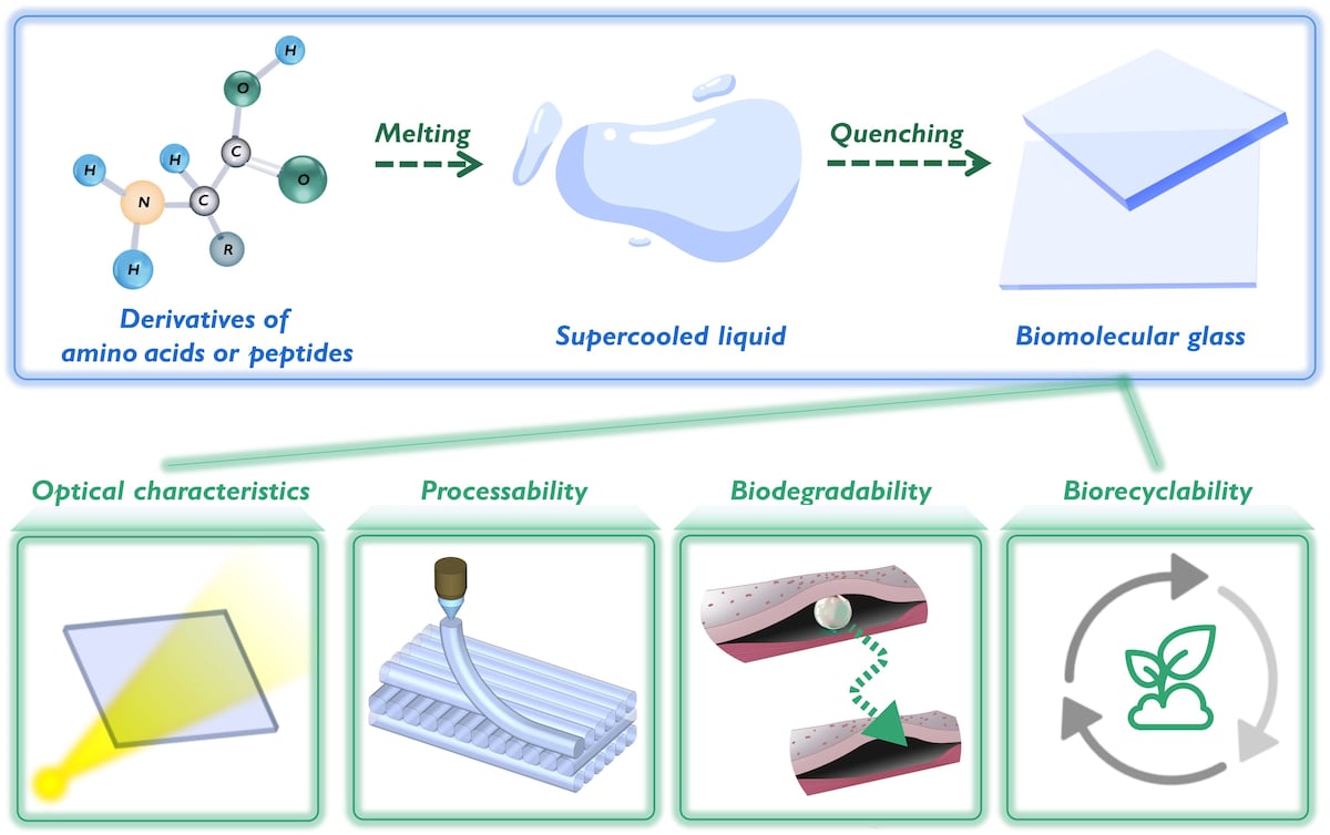 Diagrama esquemático del vidio biomolecular (Imagen de Xing RuiRui