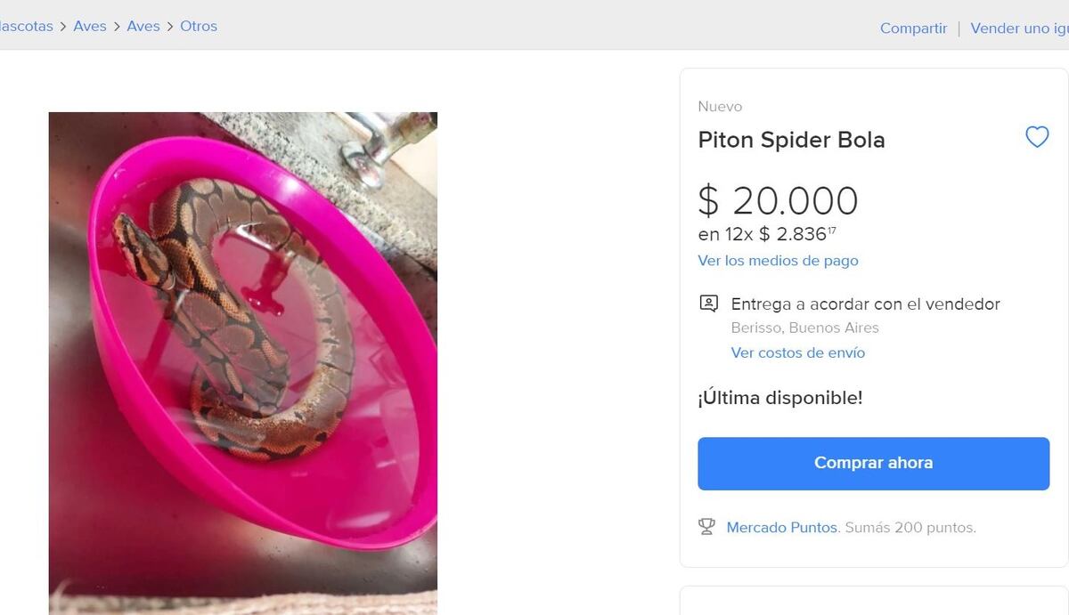Otras plataformas tienen los mismos problemas que Facebook con la venta de fauna silvestre. (Captura / La Voz)