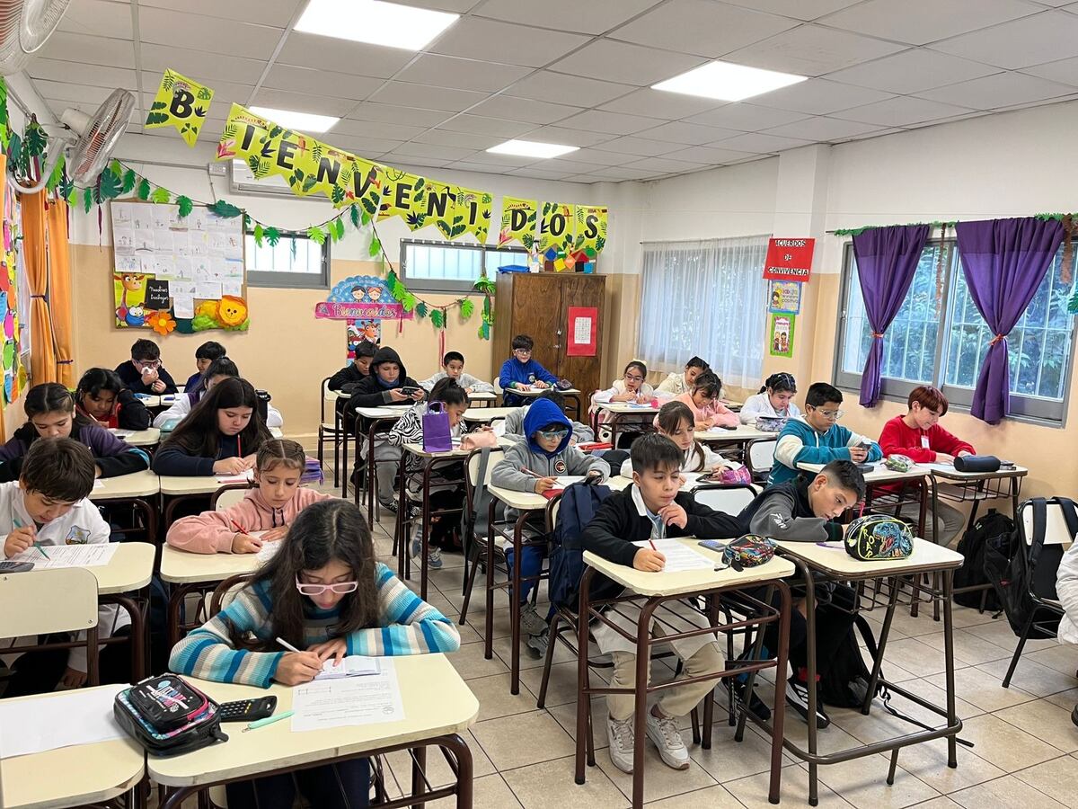 300 estudiantes municipales clasificaron a la segunda ronda de la Olimpiada Matemática Ñandú 2025