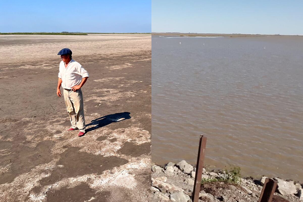 Laguna La Brava, La Carlota. Antes y después de la sequía extrema que vive Córdoba. (Fotomontaje Martín Ferraro / La Voz)
