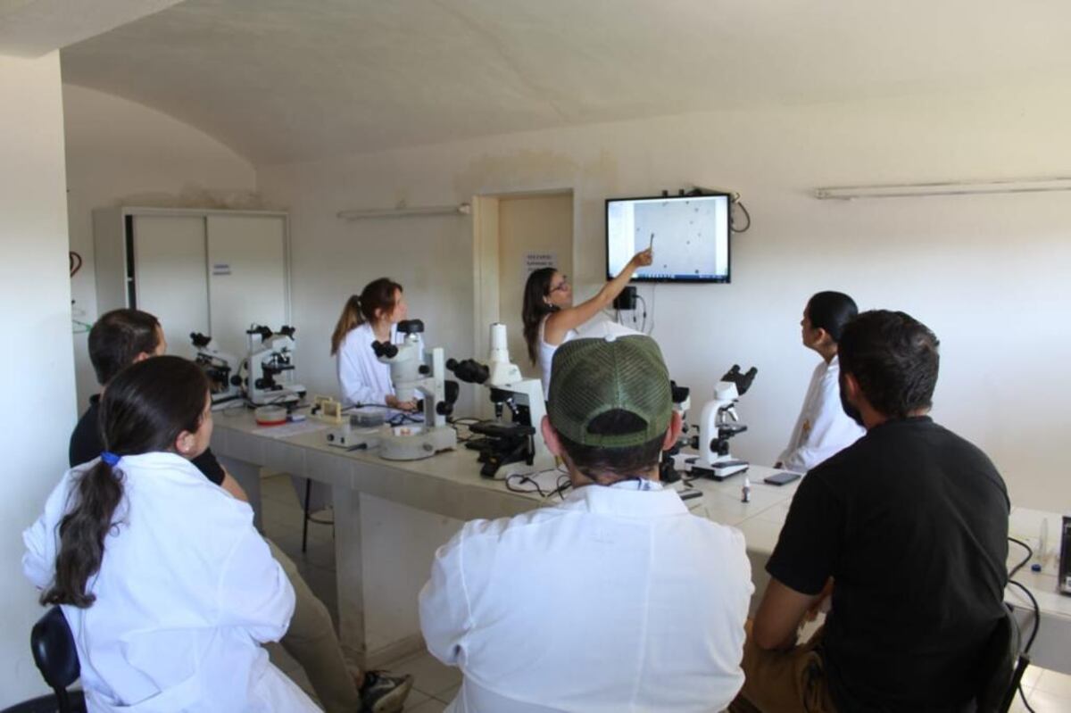 BIOTECNOLOGÍAS. Maestría en reproducción animal en Córdoba, con alumnos latinoamericanos. (Gentileza Irac)