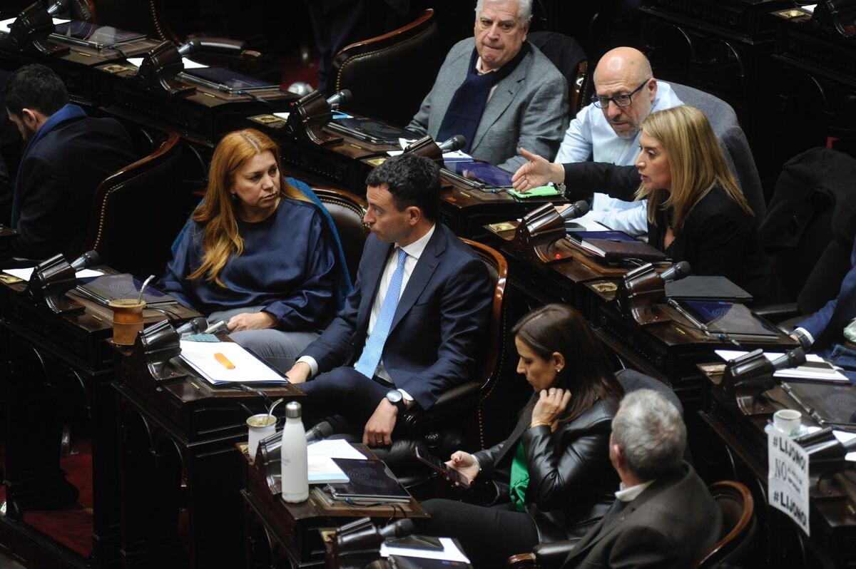 rodrigo de loredo sesion jubilados diputados