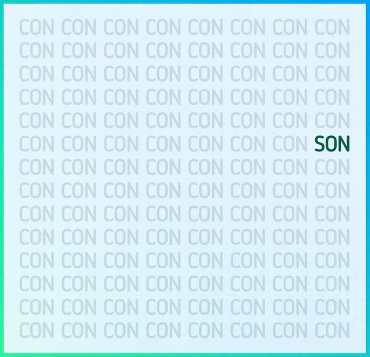 La solución del acertijo.