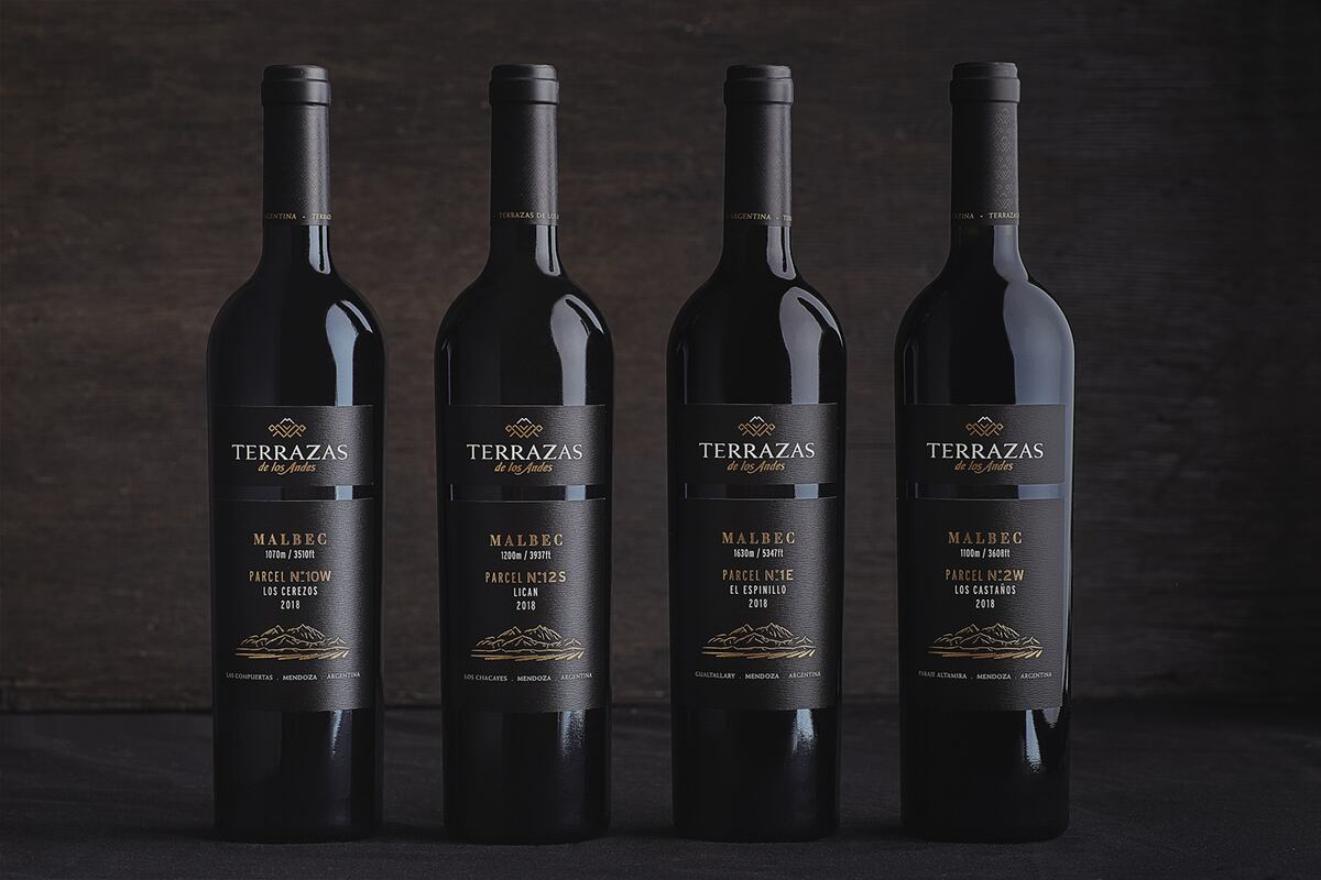 Terrazas de los Andes