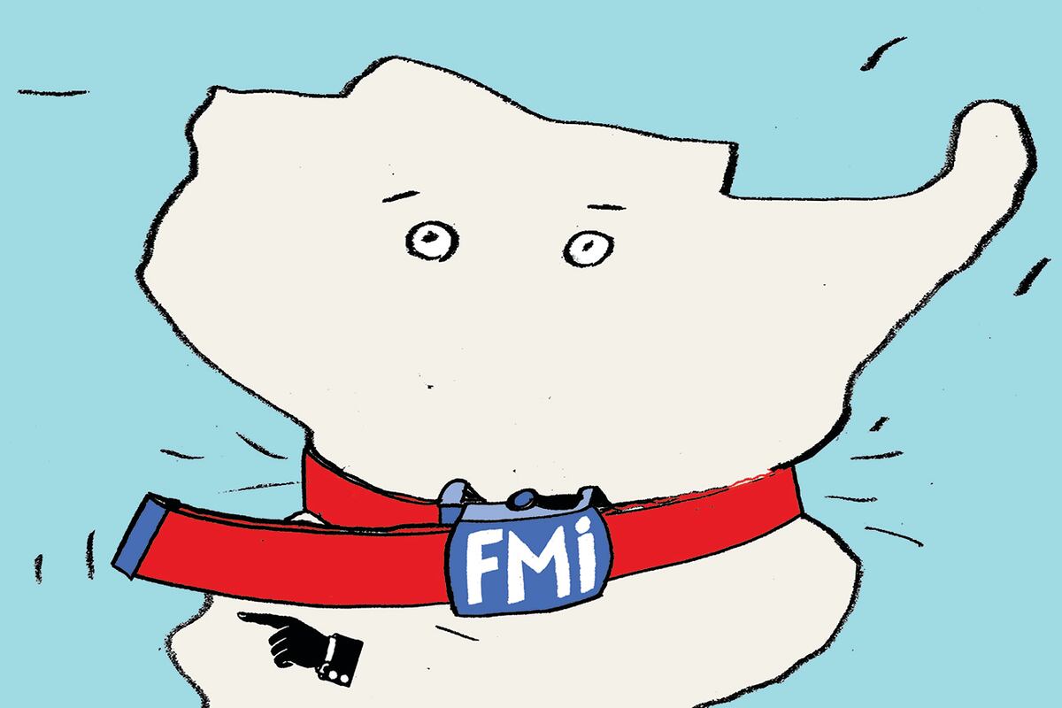 Número Cero. Argentina y su relación con el FMI. Ilustración de Martín Kovensky
