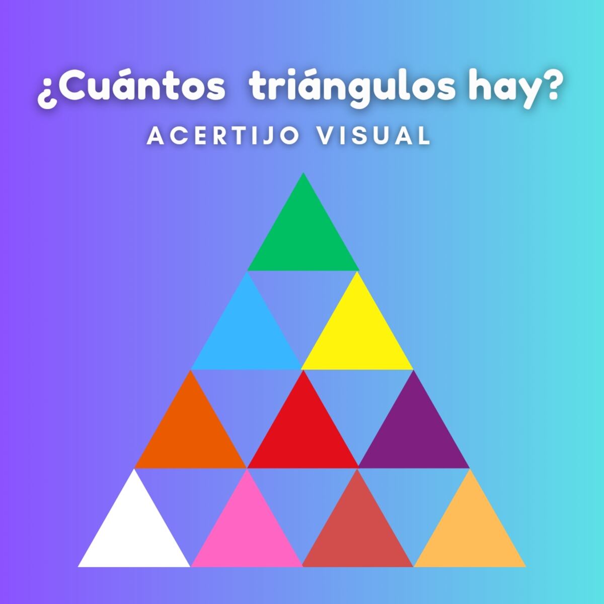 El acertijo visual.