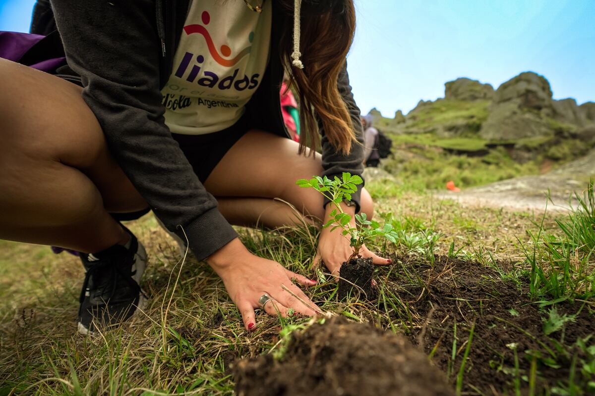 Aliados por el Agua, plan de reforestación de la Reserva Los Gigantes, organizada por Coca Cola.  (La Voz)