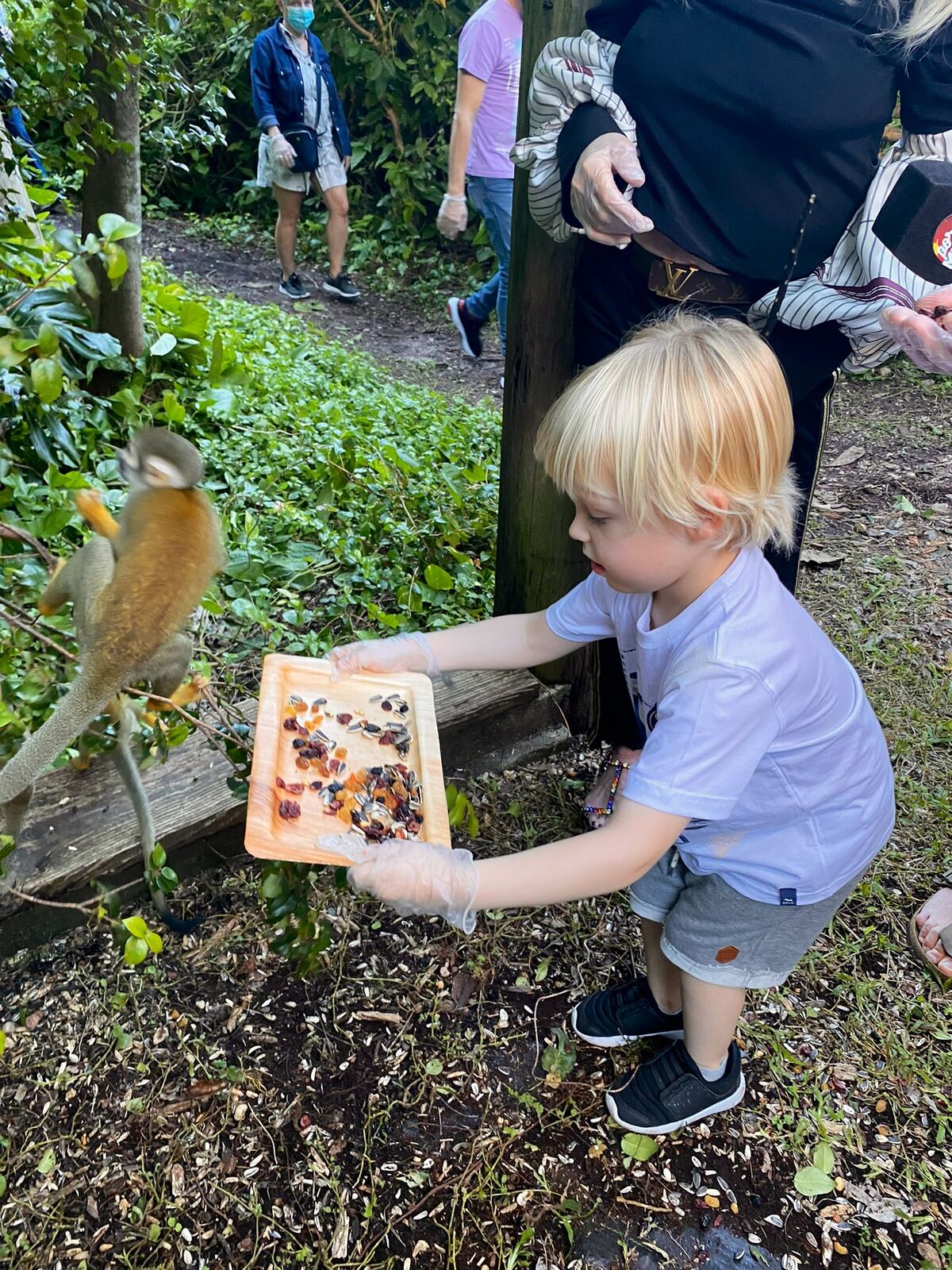 Mirko en Monkey Jungle, Miami