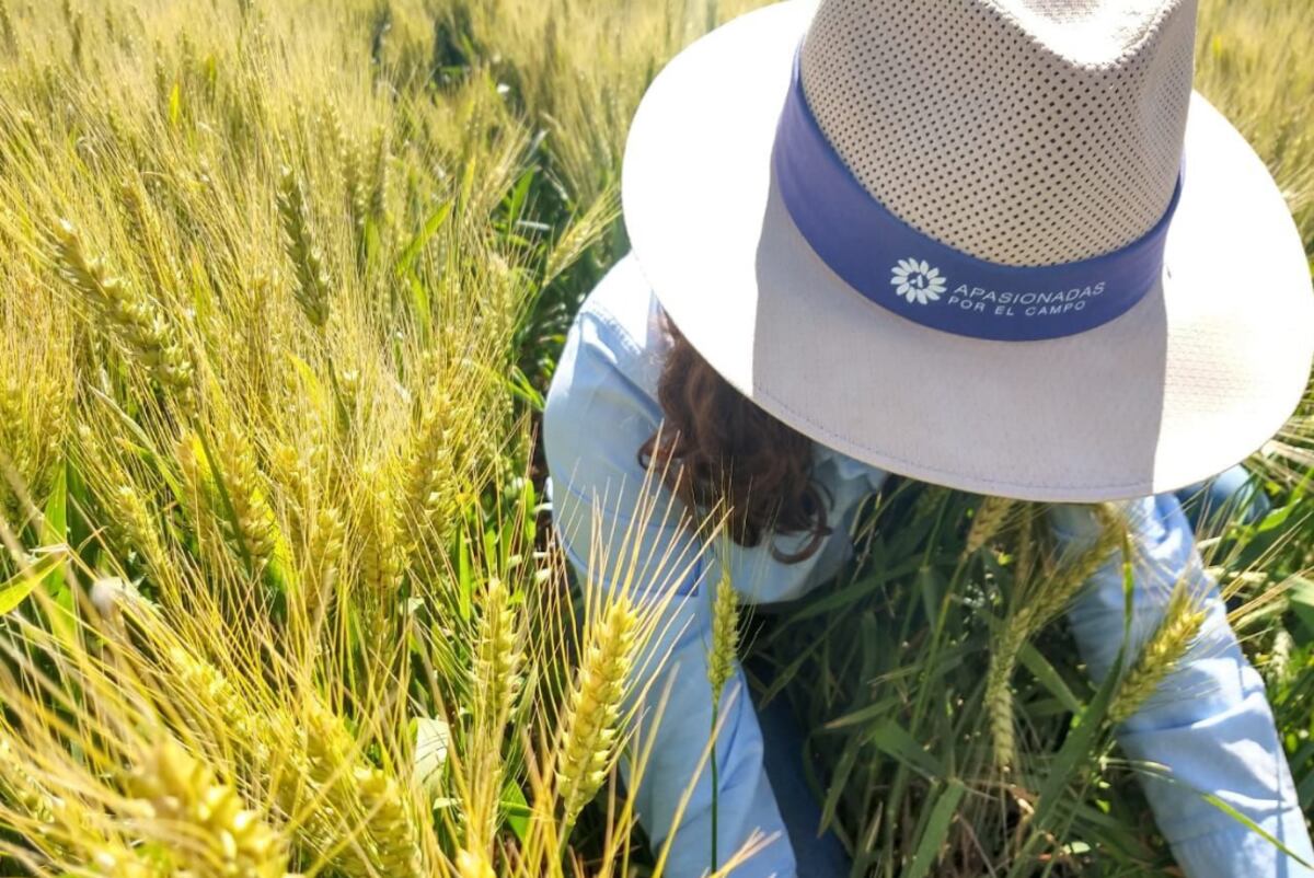 Apasionadas por el Campo: Las mujeres son un eslabón fundamental de la cadena agroindustrial; desde Bayer contribuimos a concientizar y valorar su rol. (Foto: Bayer)