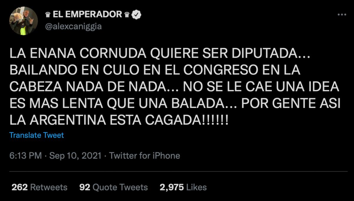 Alex Caniggia desató su furia tuitera contra Cinthia Fernández