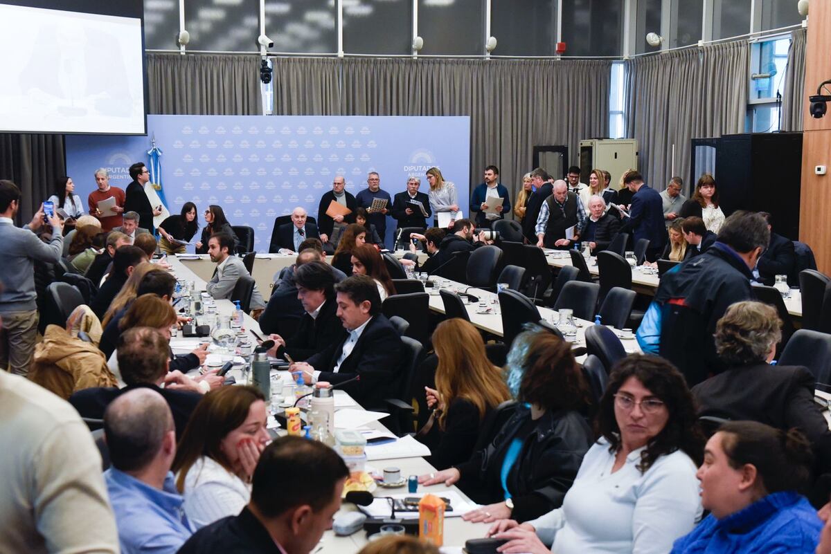 En un plenario de comisiones se dictaminó sobre el proyecto de impuesto a los Combustibles (Foto: HCDN)