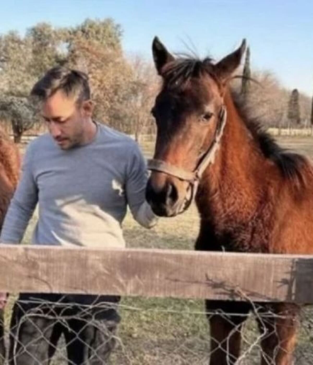 El refugio elegido para bajar un cambio: así es la casa de Luciano Pereyra en Luján