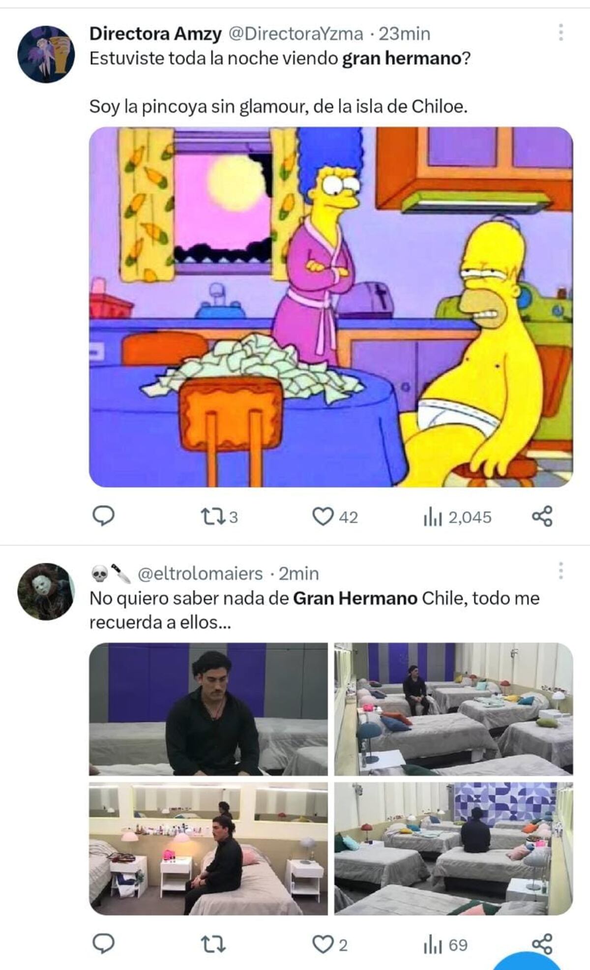 Los memes por el inicio de Gran Hermano Chile. (Captura)