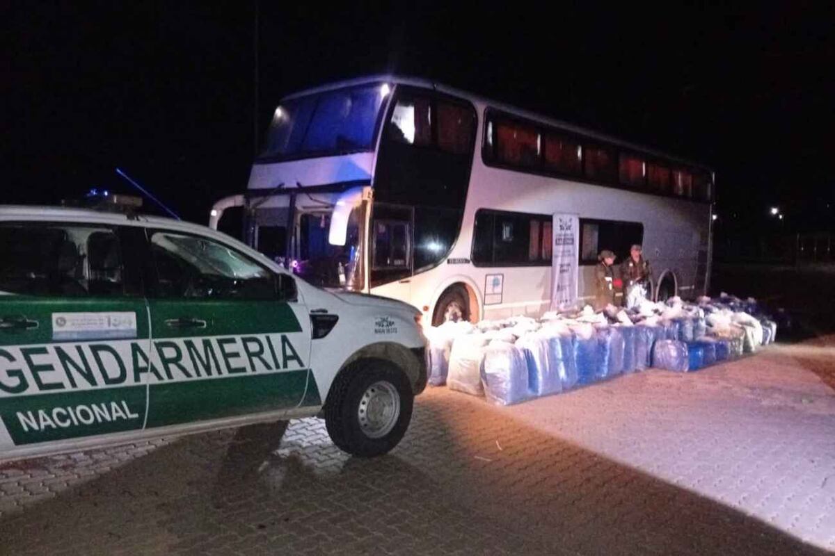 Utilizaron un tour de compras para trasladar más de 1.427 gramos de hojas de coca ilegalmente. (Gendarmería Nacional)