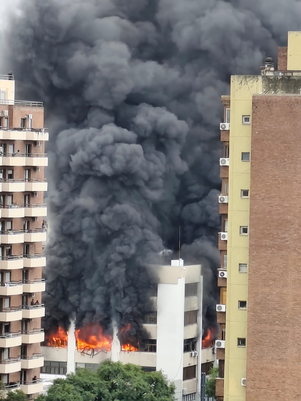 Incendio en la sede de Apross. (Gentileza)