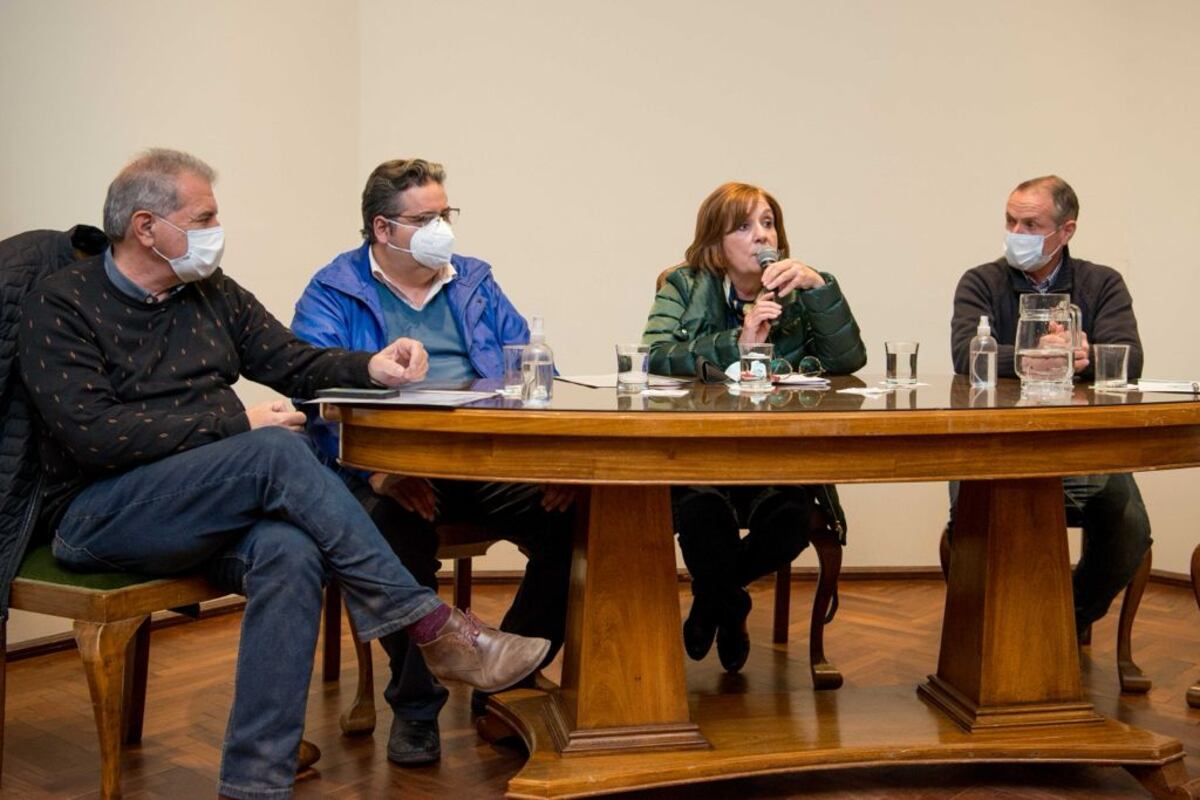 Propuesta. Alejandra Vigo propone bajar las retenciones al agro y que sean imputadas a cuenta del Impuesto a las Ganancias.
