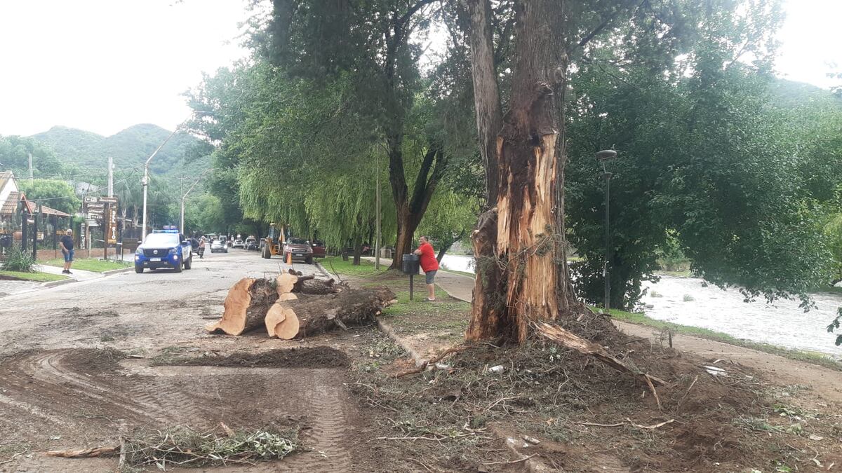 Caída de árboles por la fuerte tormenta en Santa Rosa de Calamuchita. (Prensa Municipalidad de Santa Rosa de Calamuchita)