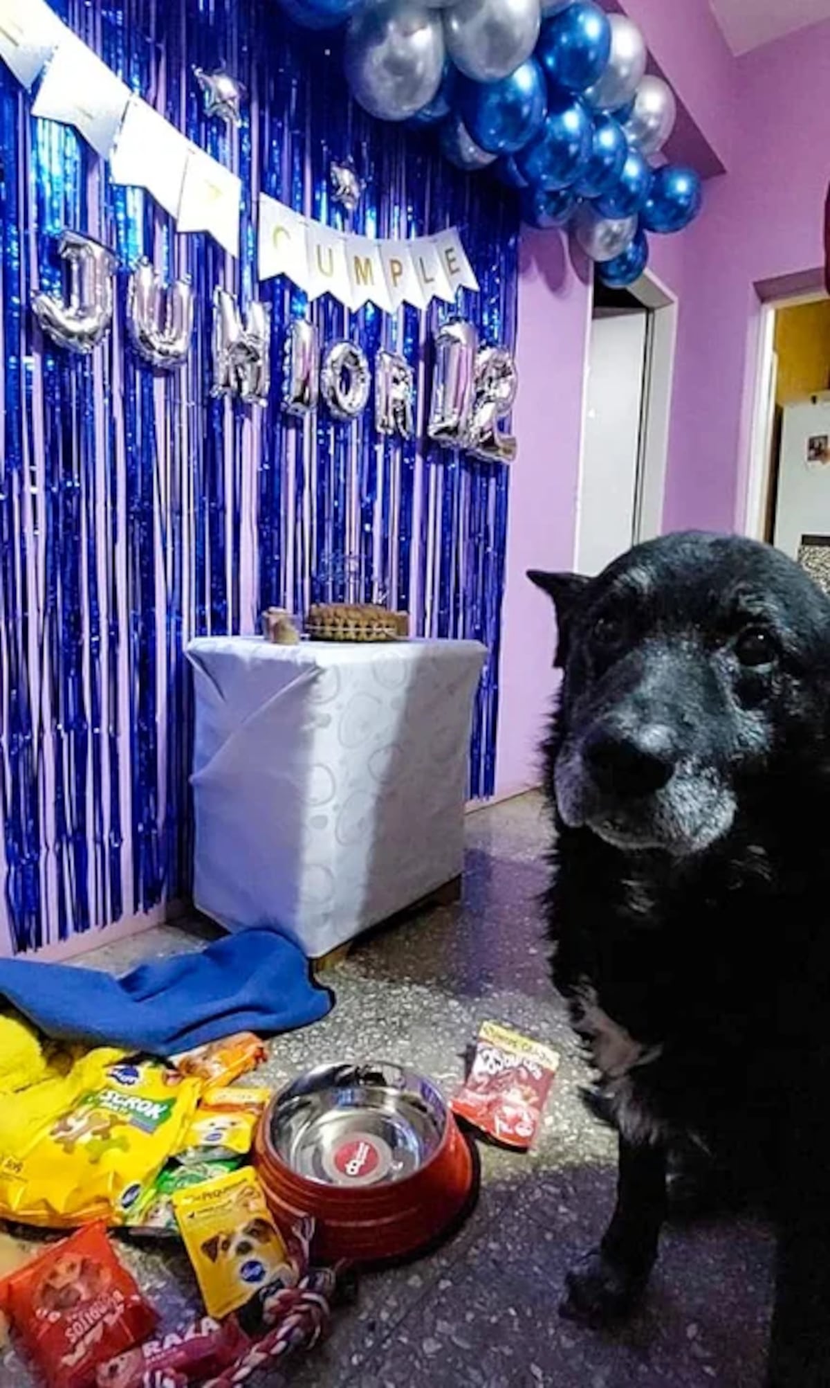 Su familia decidió festejar su cumpleaños con una tremenda fiesta. (Web)