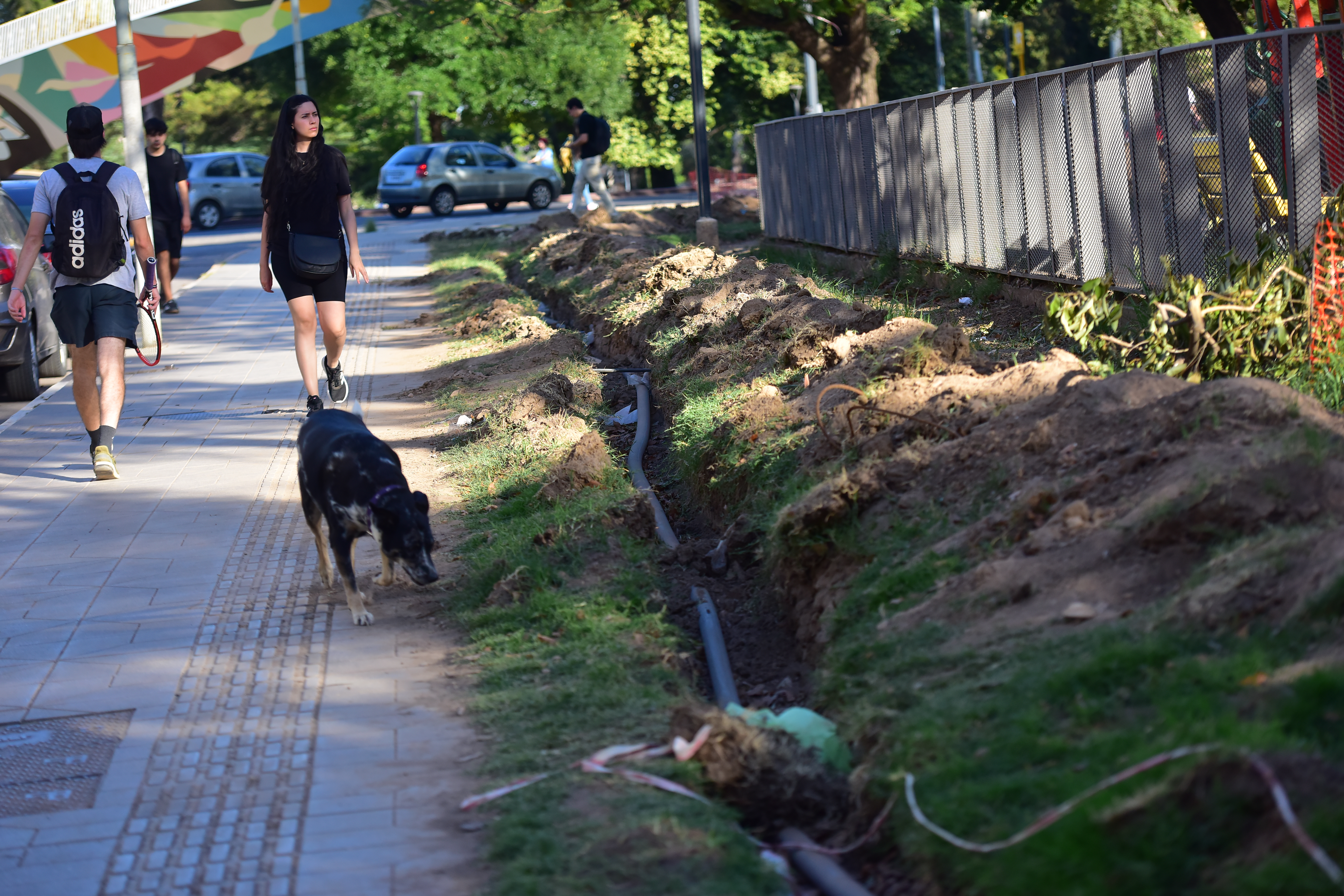Empezaron los trabajos de remodelación y revalorización del Parque de las Tejas. (Javier Ferreyra / La Voz)