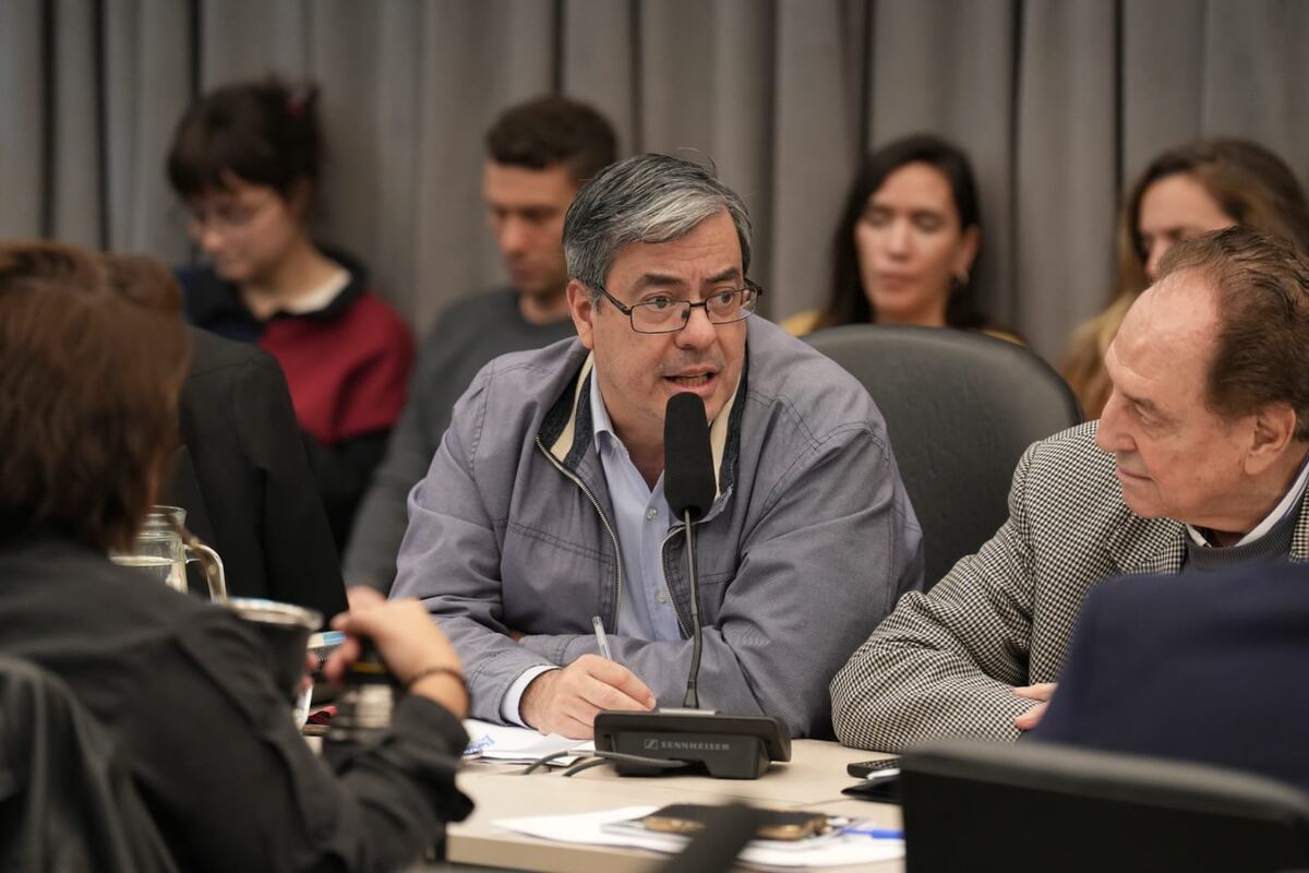 El jefe del bloque de diputados de Unión por la Patria, Germán Martínez, en la Comisión de Presupuesto (Foto: HCDN)