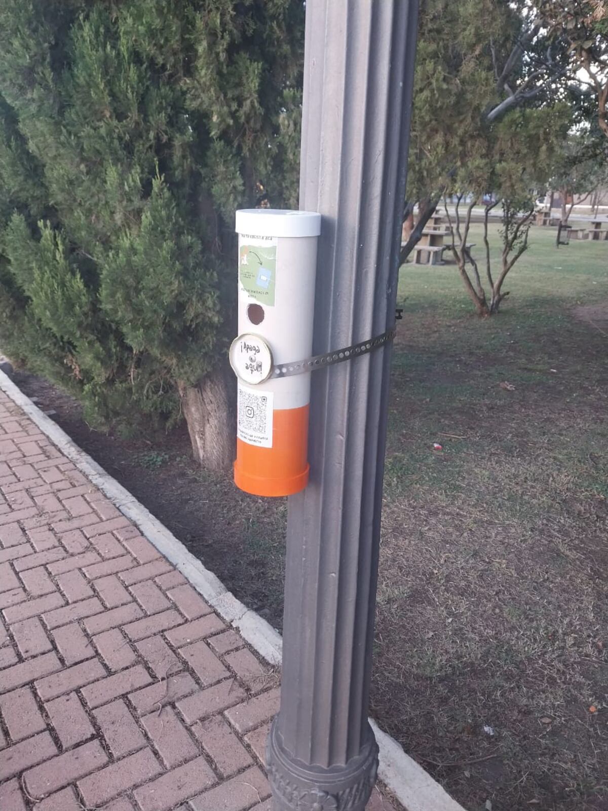 "Ecocolilleros".