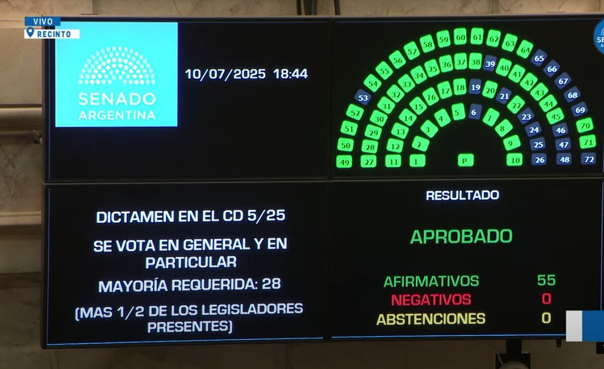 Senado. La votación por la emergencia en discapacidad. (Captura)