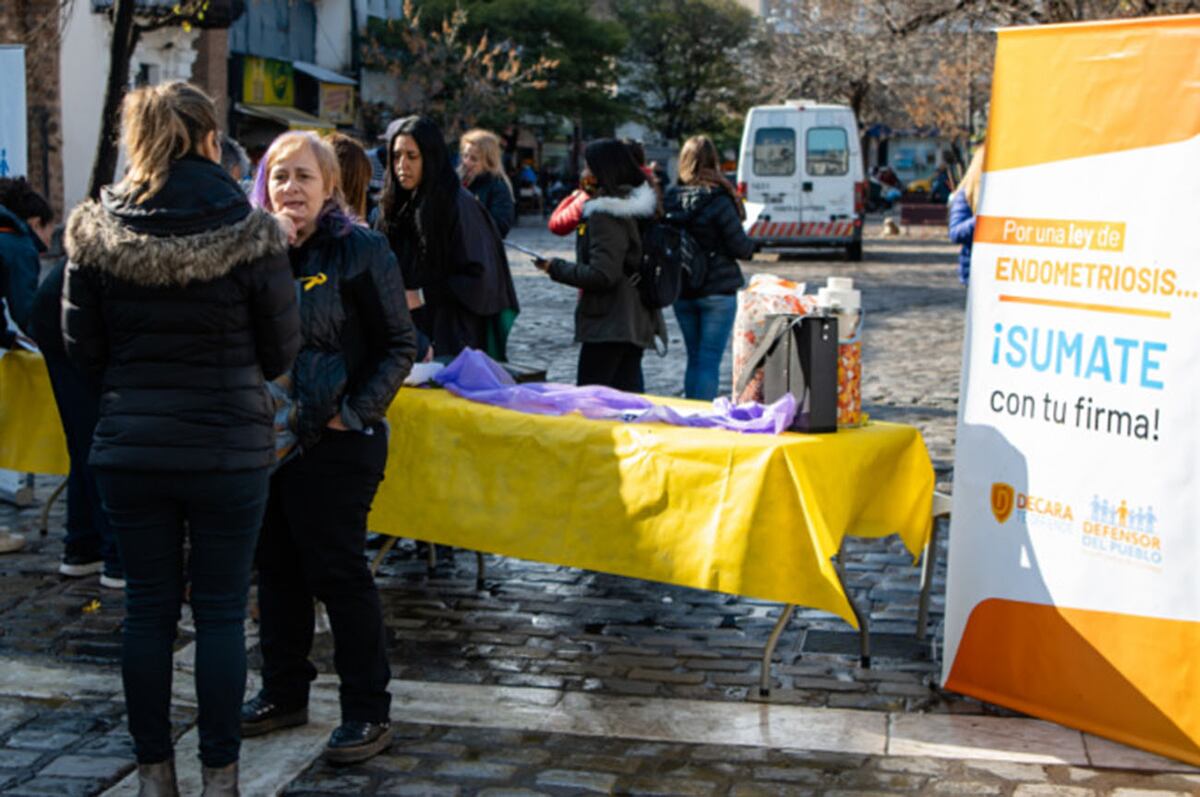 Campaña de lucha para la ley de endometriosis / Defensor del Pueblo