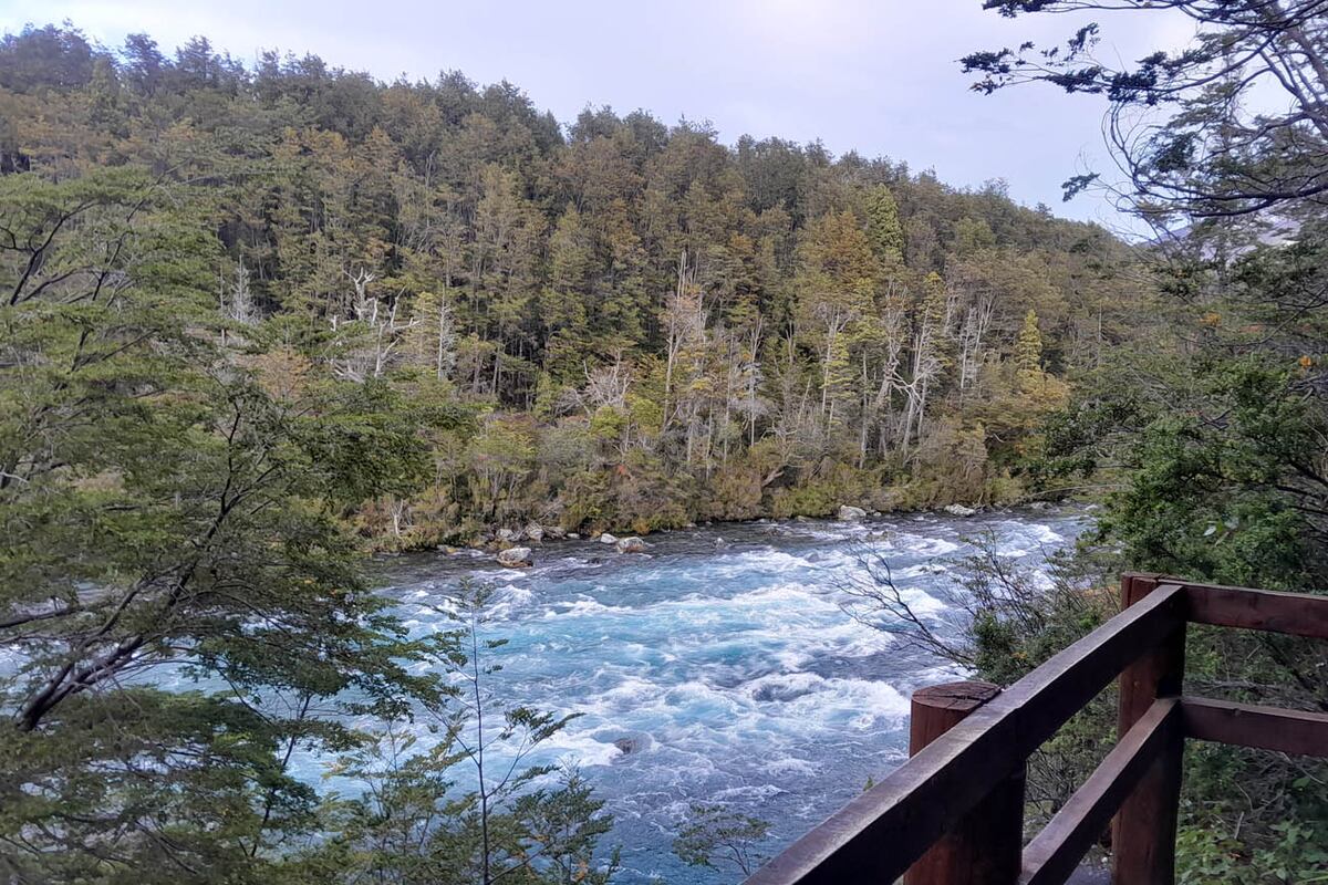 Parque Nacional Los Alerces.