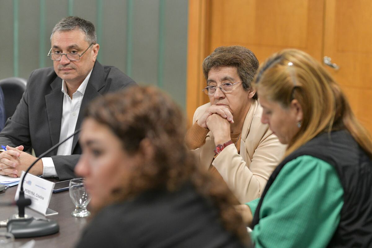 Legisladores en la Comisión de Salud. (Prensa Legislatura de Córdoba)