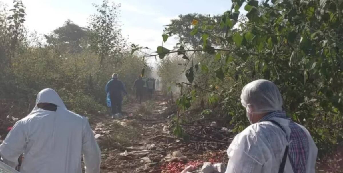 La joven de 29 años fue vista por última vez el viernes tras salir de su casa rumbo a una reunión. (Foto: gentileza El Tribuno).