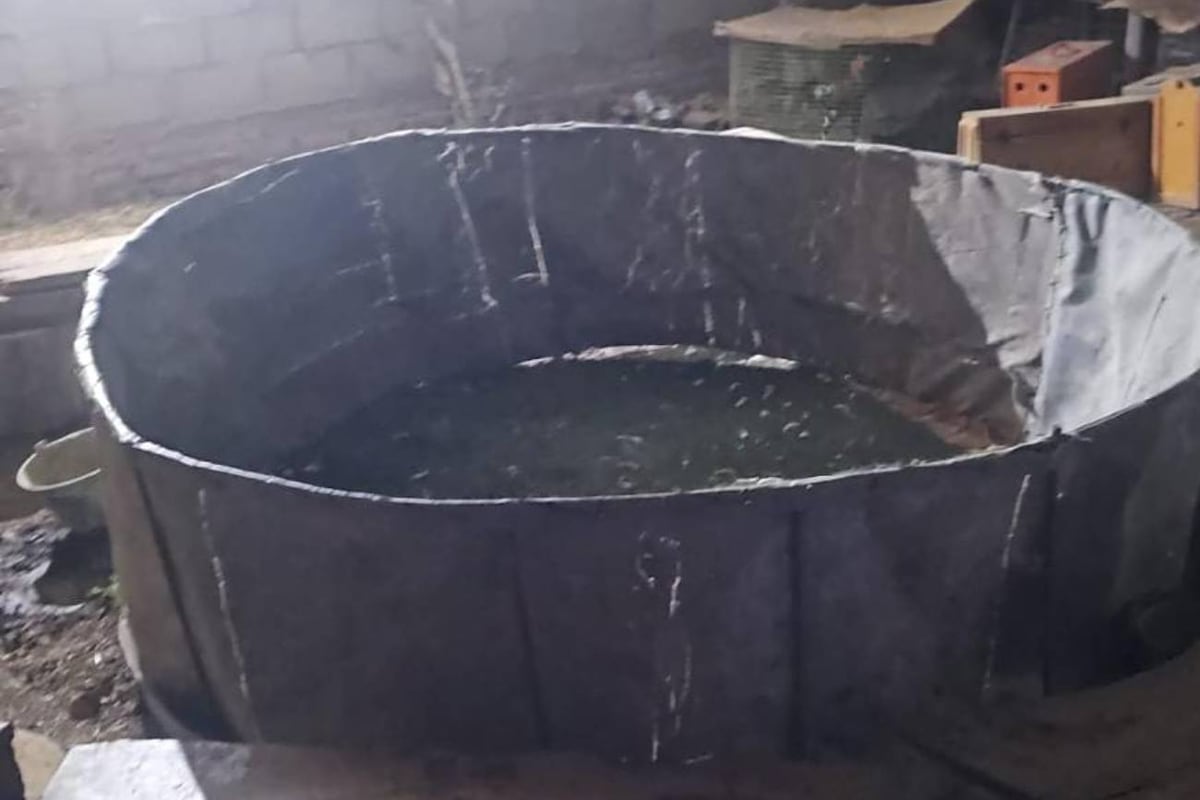 La Policía secuestró 10 gallos de pelea, dinero y bebidas alcohólicas en un operativo en Villa del Prado, donde fueron detenidas 20 personas y un menor de 12 años. (Policía de Córdoba)