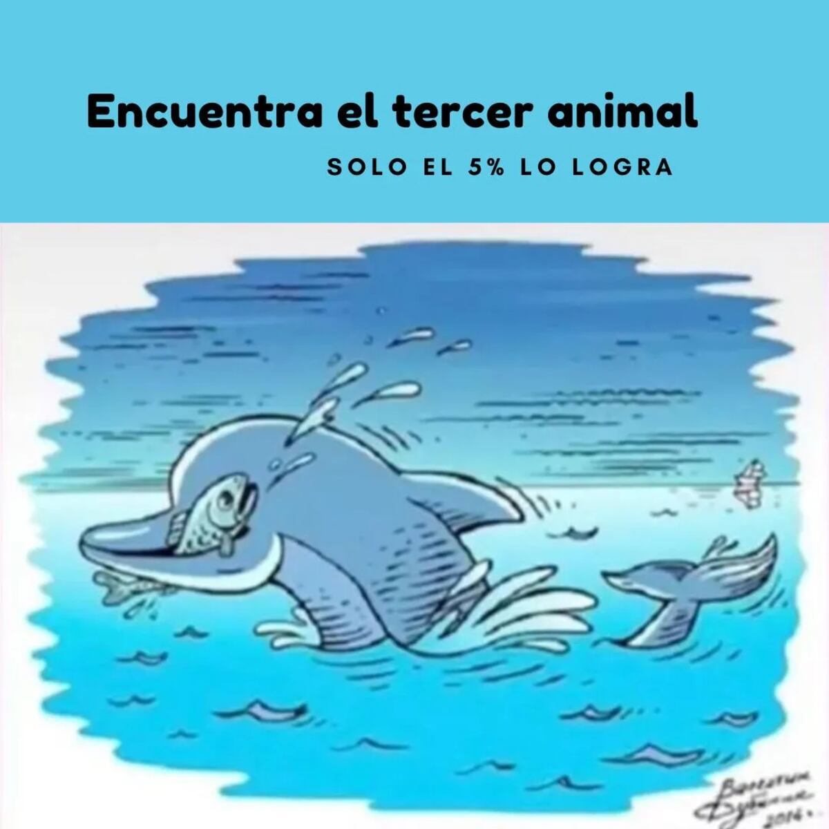 El desafío visual.
