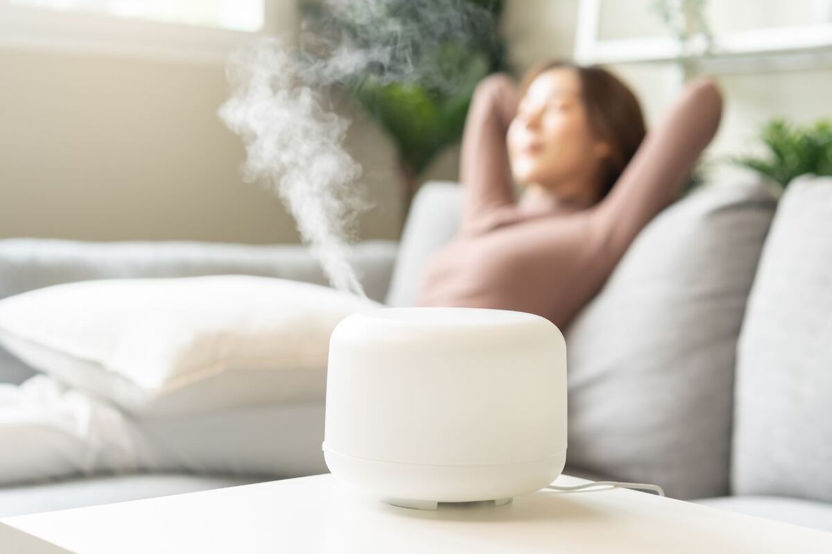 Ante ambientes secos, como los generados por calefactores o aire acondicionado, un humidificador puede ser el aliado perfecto.