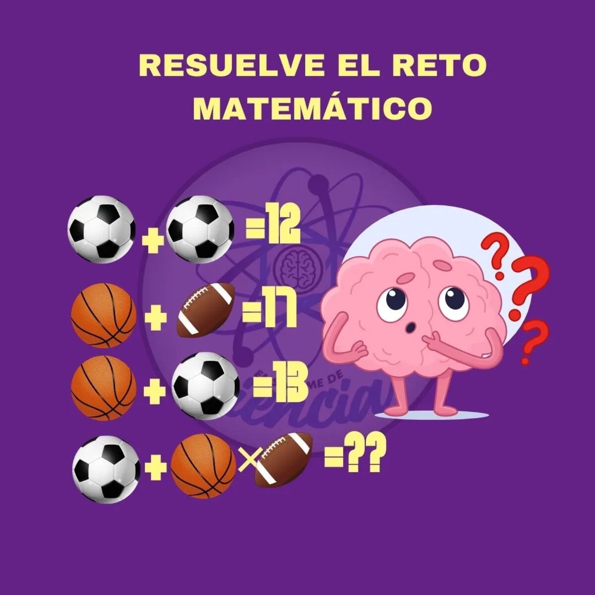 El acertijo visual.