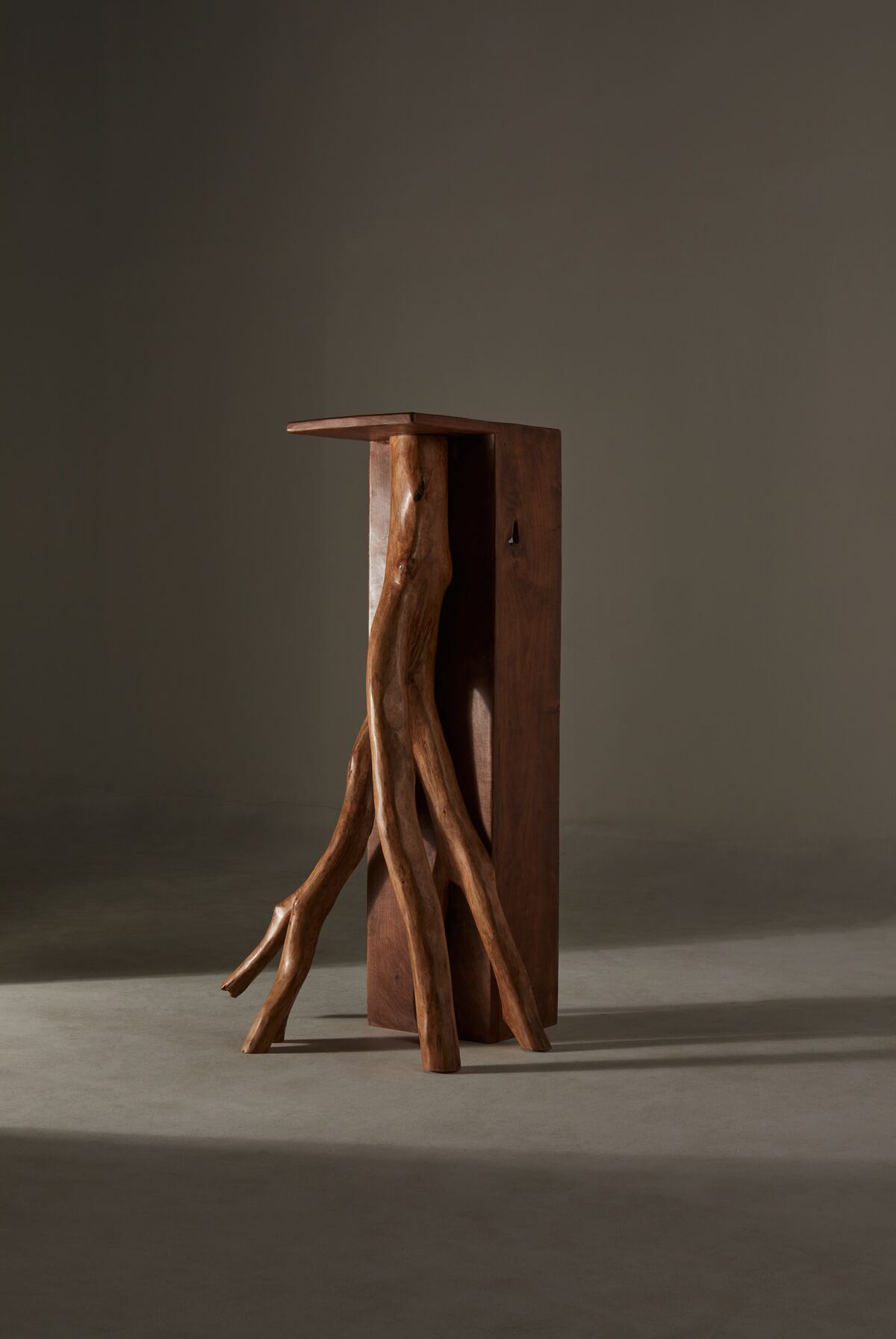 La exposición cuenta con la curaduría de la diseñadora Laura Novik.
