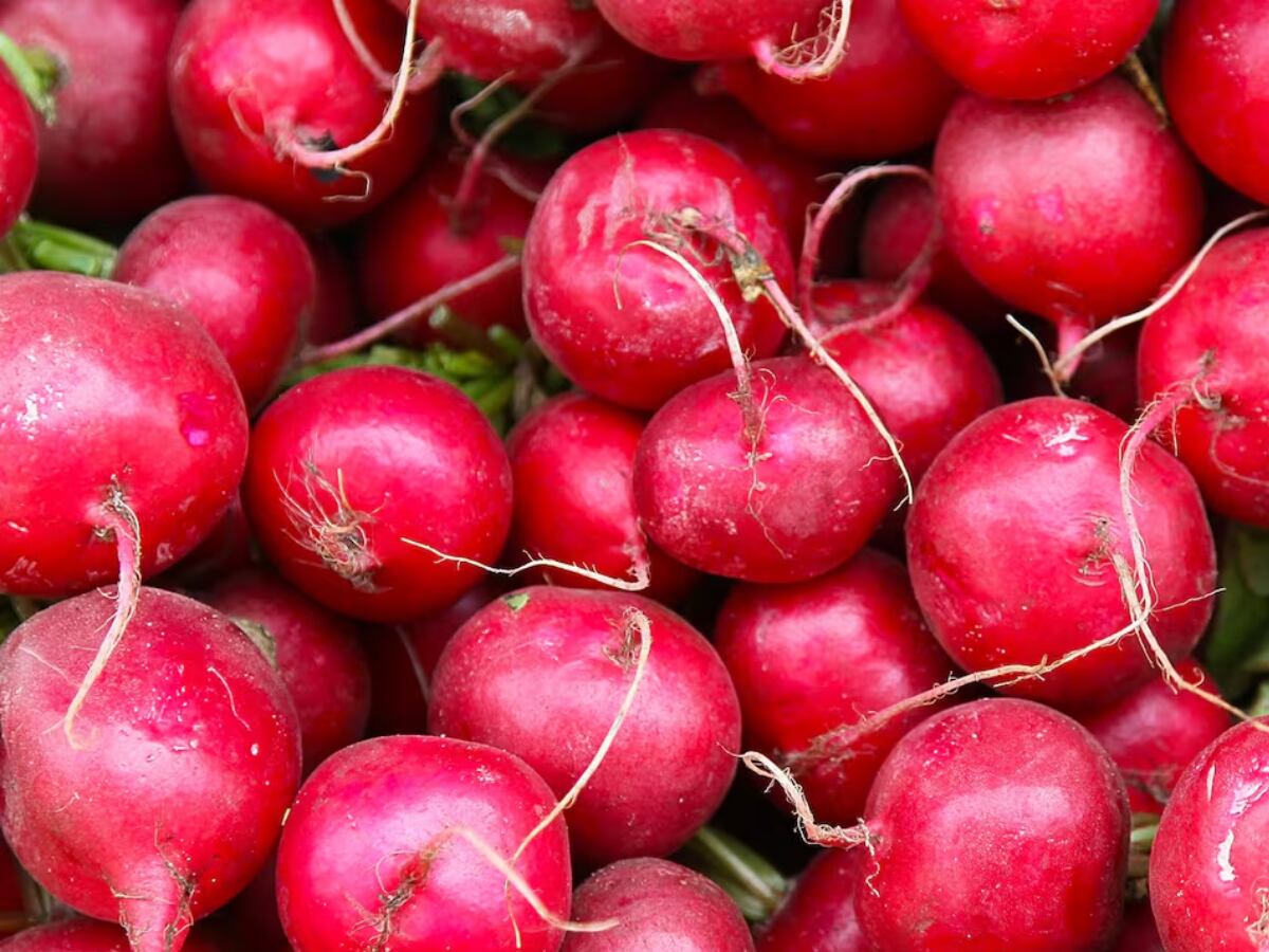 Rábano, un superalimento.