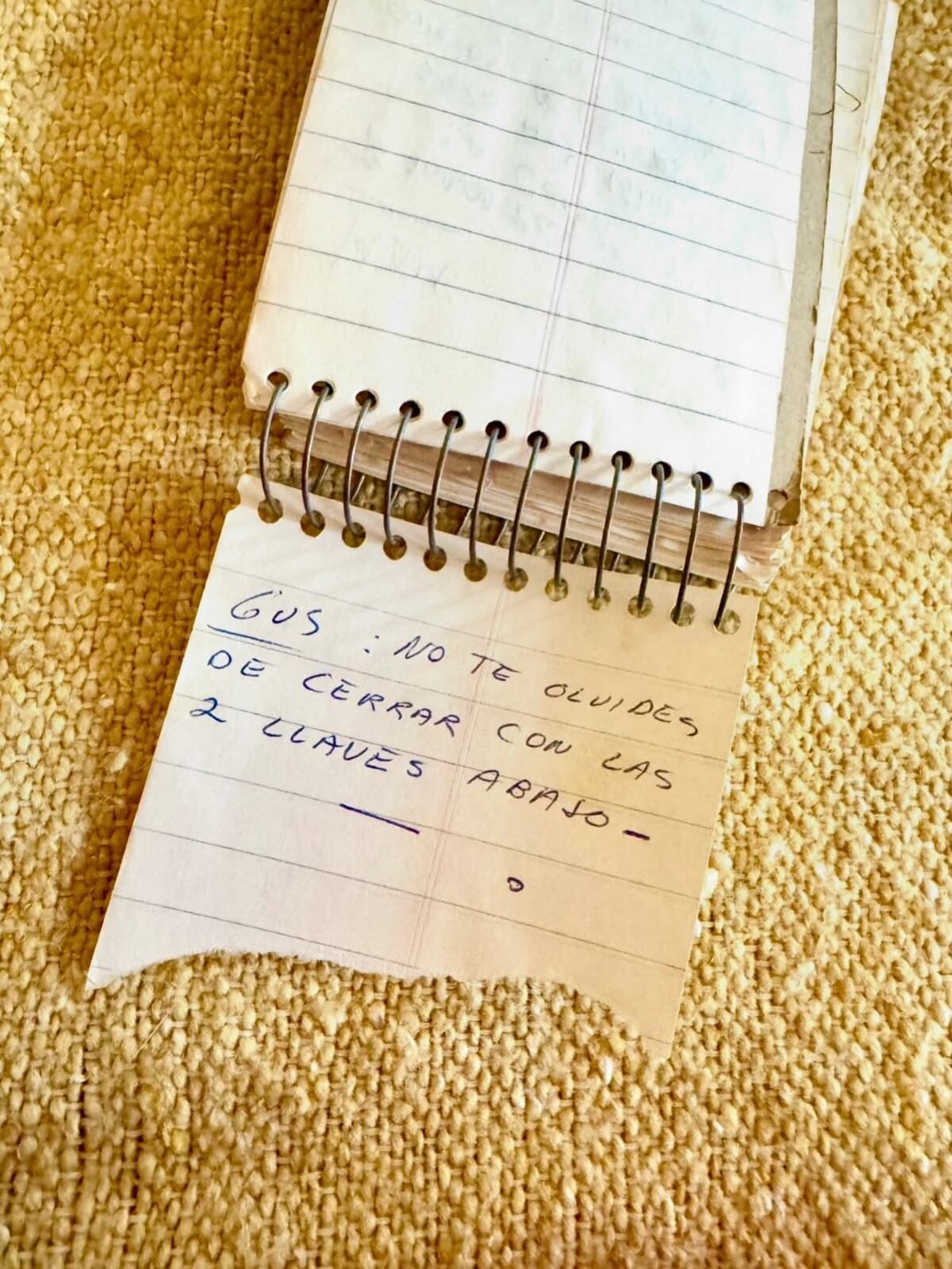 Notas de Lilian Clark a Gustavo Cerati.