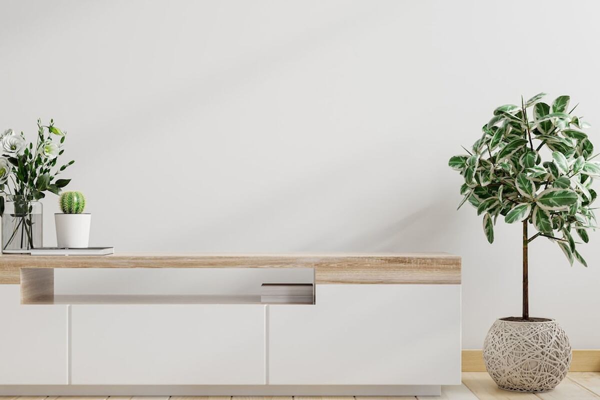 La colocación de plantas relaciona la iluminación con la naturaleza. Foto: Freepik