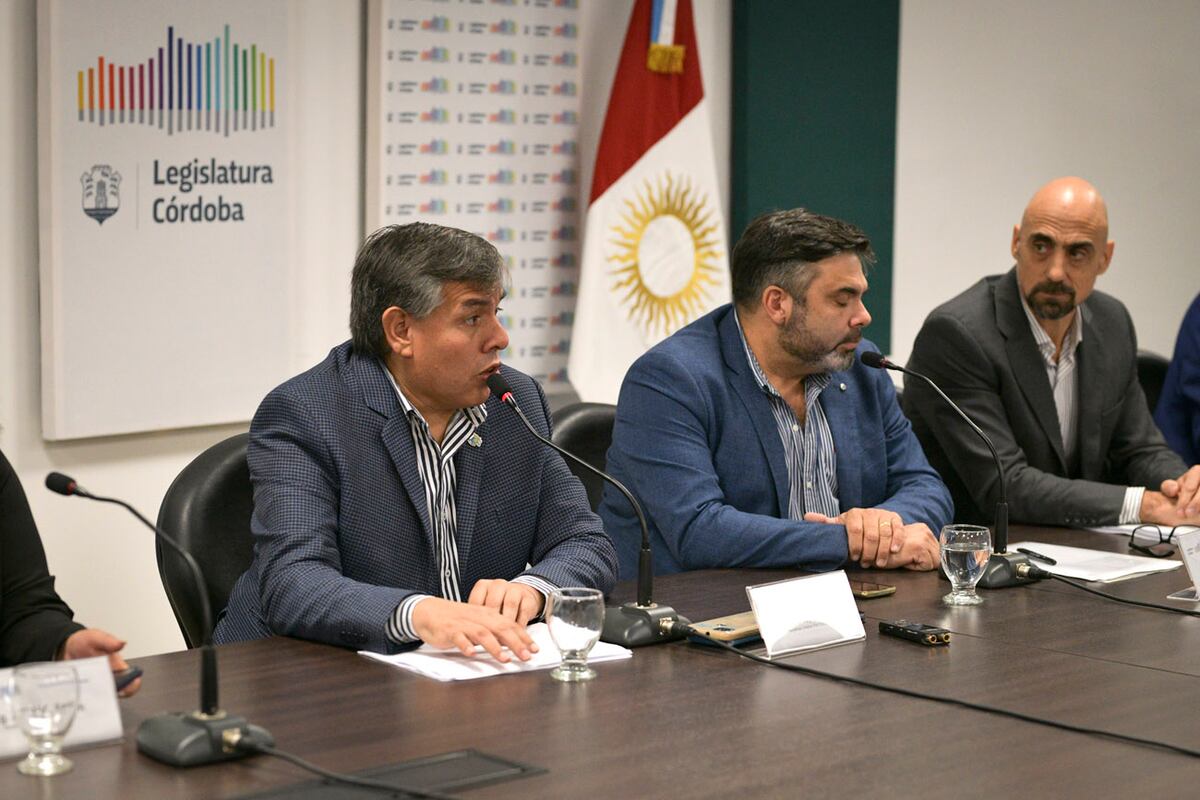 El presidente de la Comisión de Salud, Cristian Frías, en la sesión del miércoles pasado. (Prensa Legislatura de Córdoba)