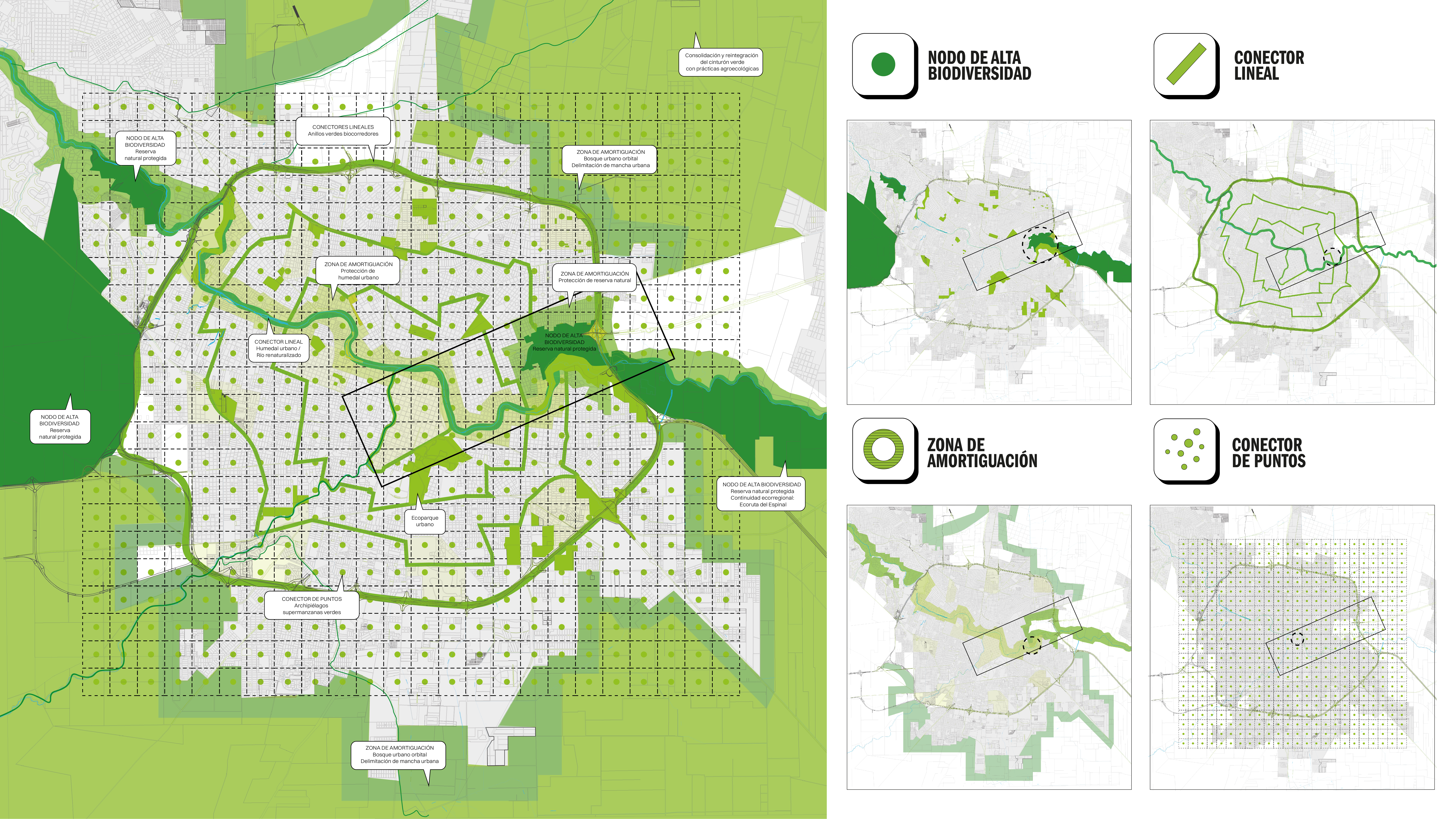 Proponen estrategias para favorecer el ambiente en la ciudad (Gentileza Camila Liandro).