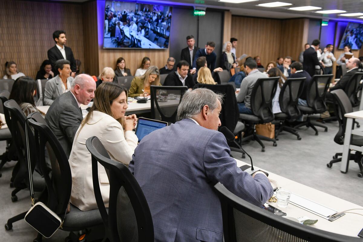 Comenzó en la Cámara de Diputados el debate sobre la Ley de DNU (Foto: HCDN)