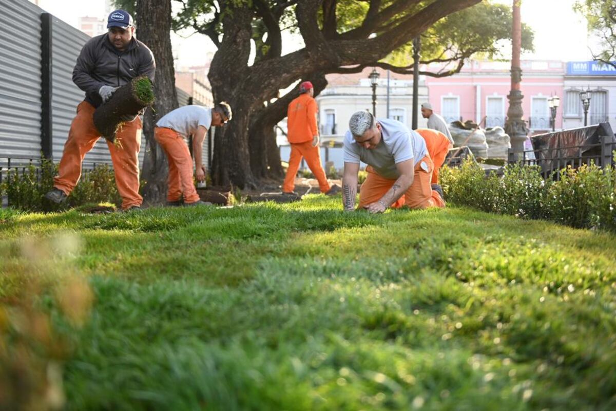 Así avanzan los trabajos de remodelación de la Plaza Colón. La Municipalidad dio a conocer nuevas imágenes de este martes y la colocación de unos 40 árboles de gran porte. (Municipalidad de Córdoba)