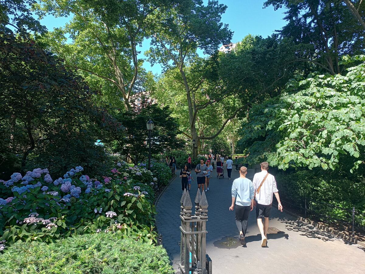Las plazas más importantes de Manhattan son mantenidas por organizaciones compuestas por vecinos, que se encargan de gestionarlos. En la foto, el Madison Square Park (Diego Marconetti / La Voz).