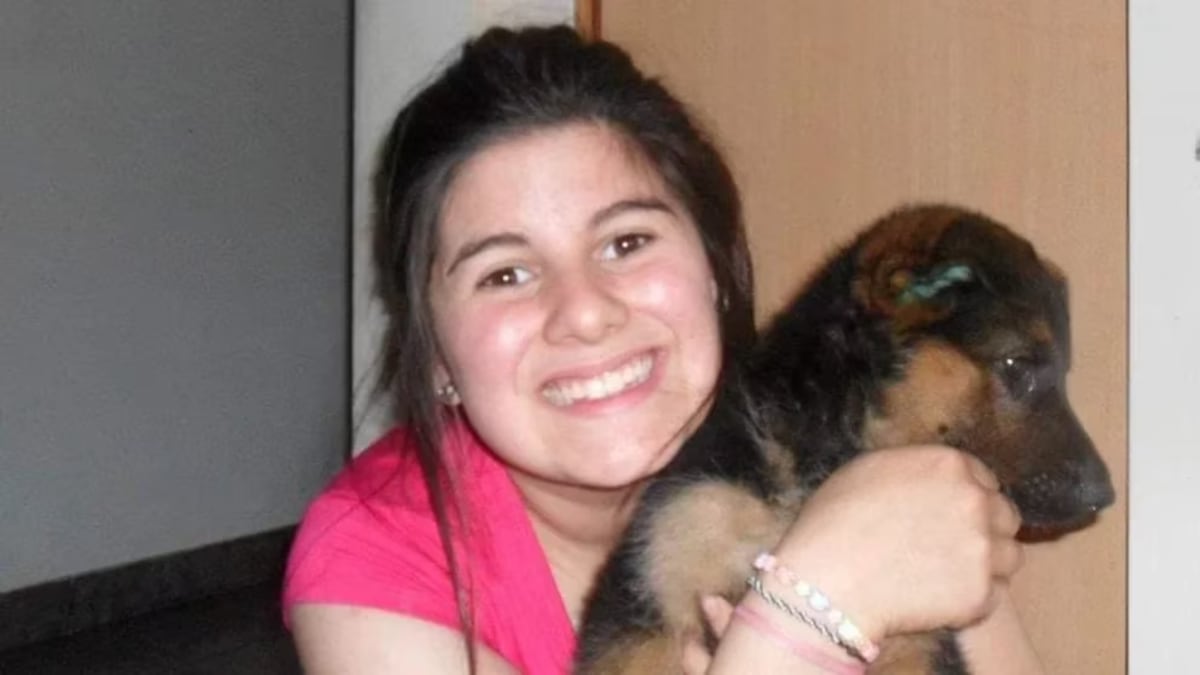 Cash, el perro  ovejero alemán que después de 10 meses volvió a su casa. (Infobae)