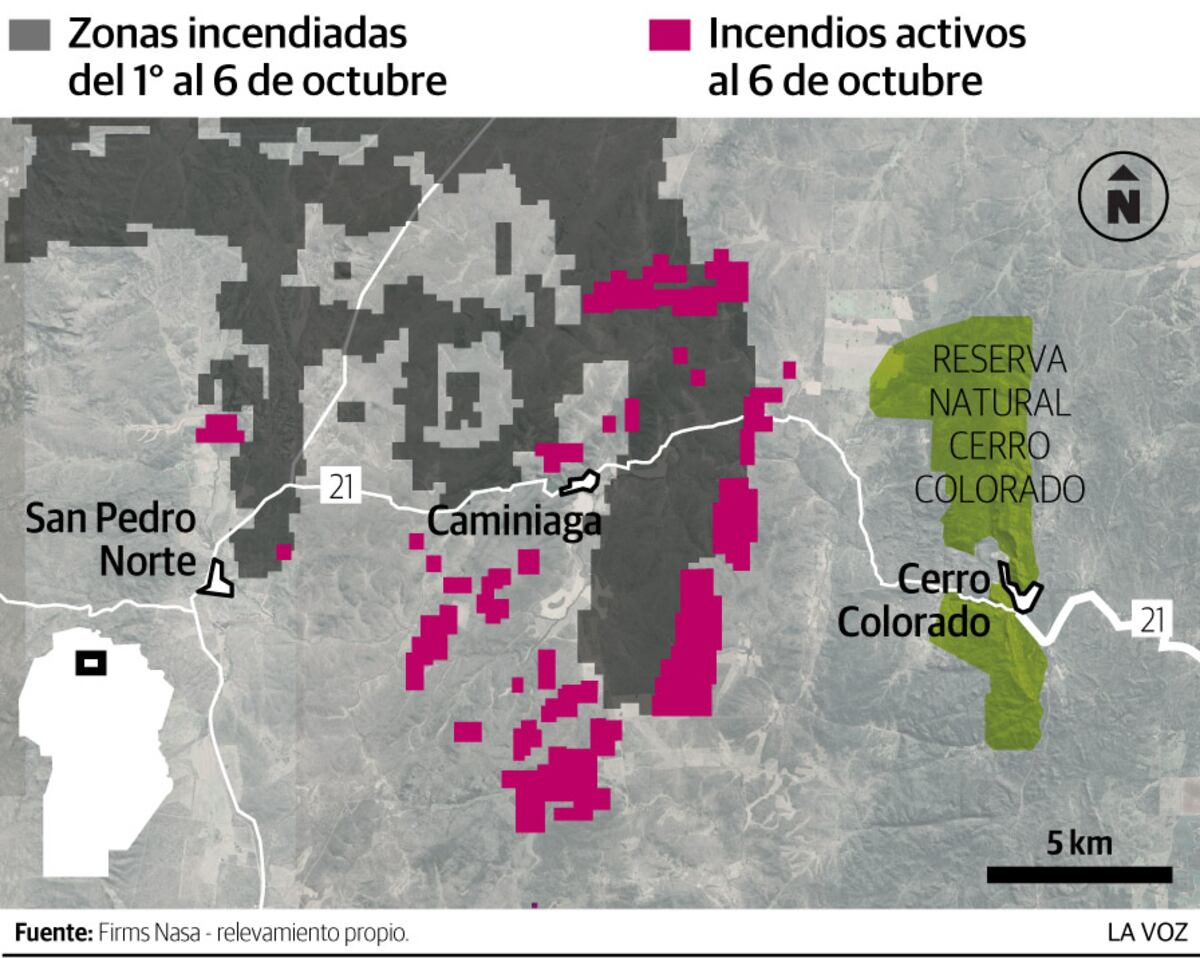 Imagen de la nota