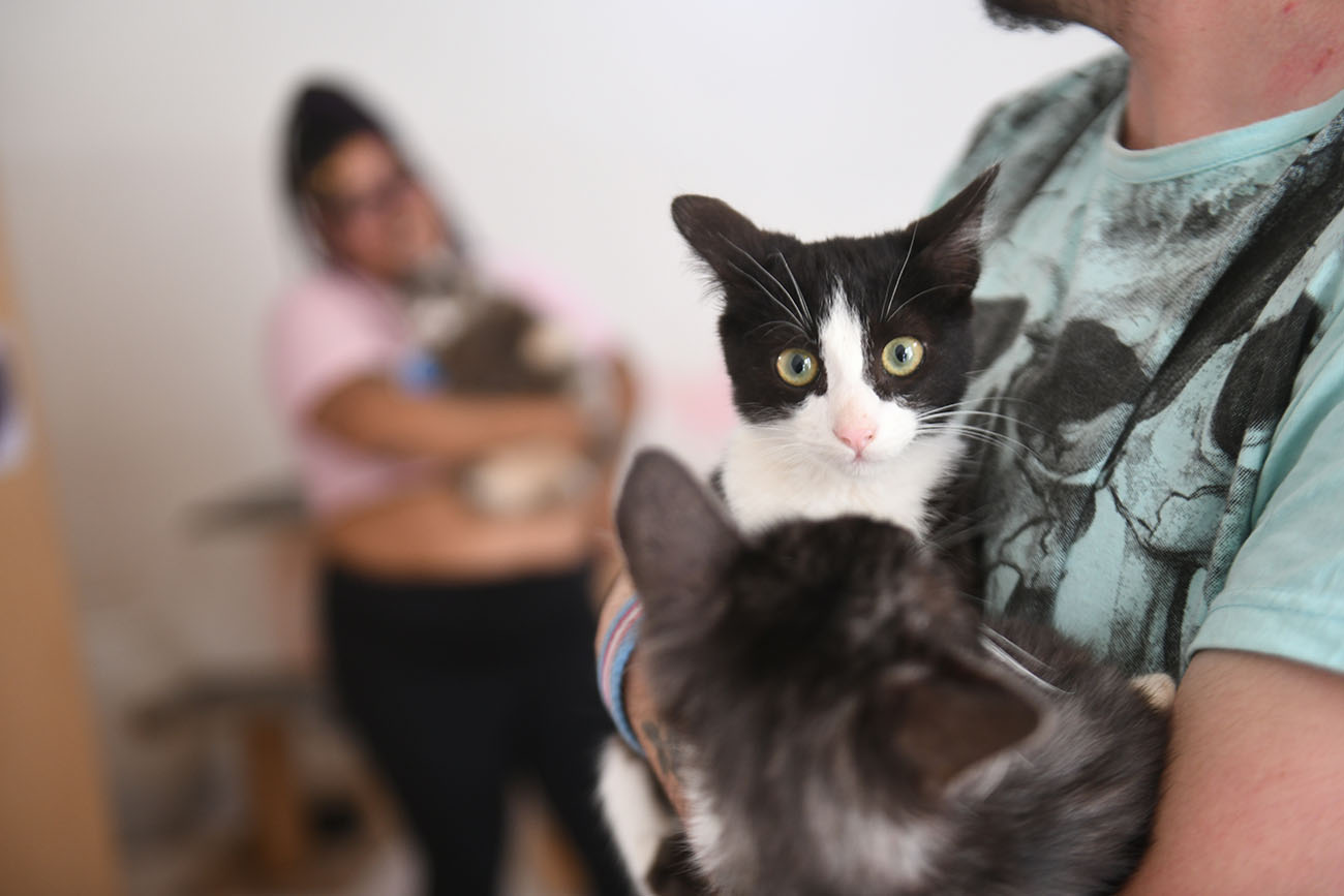 Héroes y Heroínas. Hydra rescata gatos de colonias en Córdoba y les da una nueva oportunidad de vivir. ( Ramiro Pereyra /La Voz )